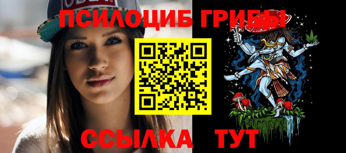 Галлюциногенные грибы мицелий  Вход с VPN  Шебекино  Галлюциногенные грибы Cubensis 